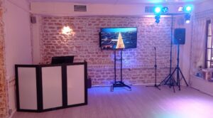 Professional karaoke setup with TV, speakers, and lighting at private event in San Diego