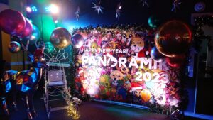 New Year Party DJ Setup in San Diego